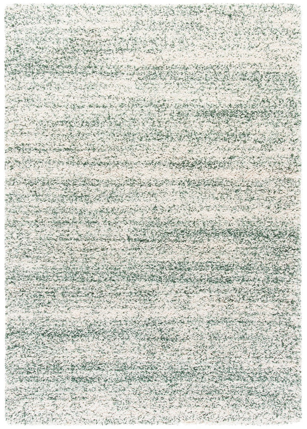 Safavieh Hudson Shag 295 Power Loomed Polypropylene Shag Rug SGH295X-5