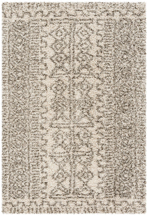 Safavieh Hudson Shag 376 Flat Weave Polypropylene Shag-Bohemian Rug SGH376A-57