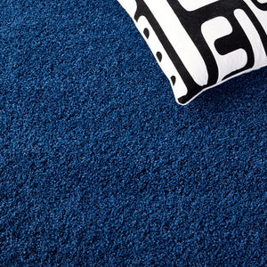 Safavieh Laguna Shag 303 Power Loomed Polypropylene Pile Shag & Flokati Rug SGL303K-210