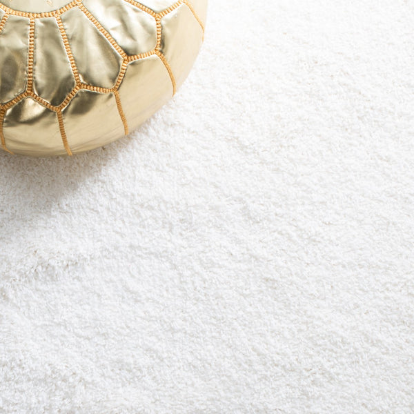 Safavieh Santa Monica Shag 725 Power Loomed Polypropylene Pile Rug SGN725-1010-3SQ