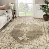 Jaipur Living Salinas Collection SLN06 Farwell 100% Wool Handmade Traditional Medallion Rug RUG152438