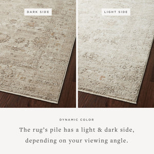 Loloi Loloi Sonnet SNN-01 Traditional Power Loomed Rug Sand / Taupe 11'-6" x 15'