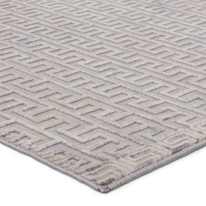 Jaipur Living Sundar Baxley SUD06 Power Loomed 60% Polypropylene 40% Polyester Geometric Area Rug Gray 60% Polypropylene 40% Polyester RUG155959