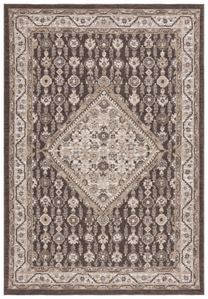 Safavieh Sunrise 620 Flatweave Indoor / Outdoor Rug Grey / Beige Black 8' x 10'
