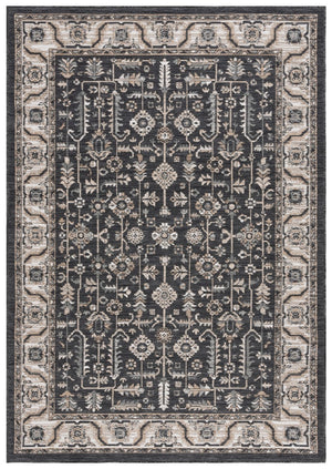 Safavieh Sunrise 627 Flatweave Indoor / Outdoor Rug Ivory / Grey Black 8' x 10'