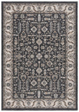 Safavieh Sunrise 627 Flatweave Indoor / Outdoor Rug Ivory / Grey Black 8' x 10'