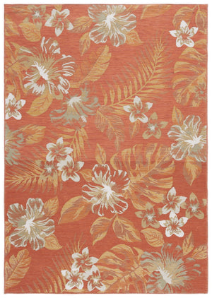 Safavieh Sunrise 671 Flatweave Indoor / Outdoor Rug Ivory / Rust Sage 8' x 10'