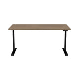 Braeden Top in Teak with Height Adjustable Base in Black