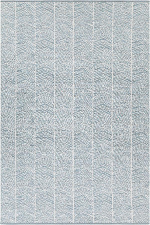 Chandra Rugs Tanya 100% Cotton Hand-Woven Flatweave Cotton Rug Blue/White 9' x 13'