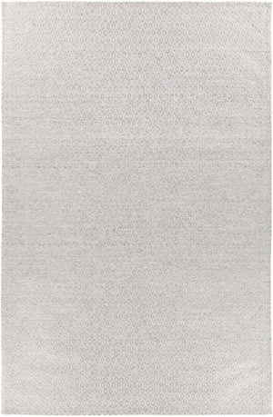 Chandra Rugs Tasha 100% Viscose Hand-Woven Contemporary Rug Grey 7'9 x 10'6