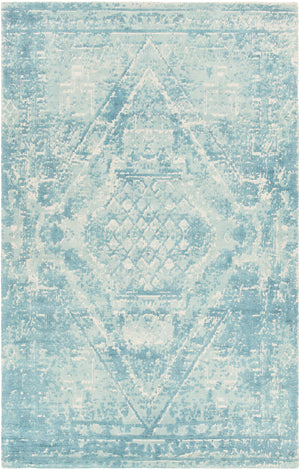 Chandra Rugs Tayla 100% Wool Hand-Tufted Traditional Rug Blue/White 9' x 13'