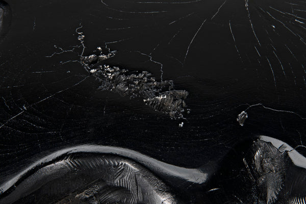 Noir Teak Root Coffee Table TEAK101BL