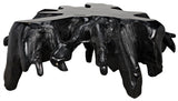 Noir Teak Root Coffee Table TEAK101BL