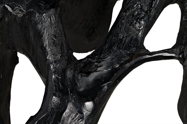 Noir Teak Root Coffee Table TEAK101BL