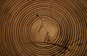 Lathe Side Table, Chamcha Wood