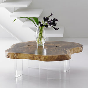 Floating Coffee Table with Acrylic Legs, Natural, Size Varies