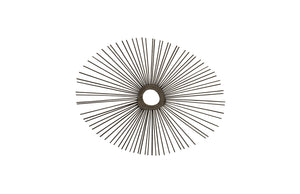 Spoke Mirror, Burnt, Round