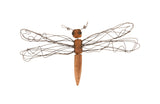 Wire Wing Dragonfly, SM