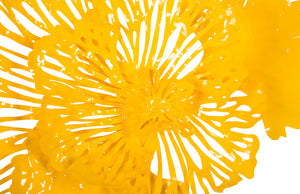 Flower Wall Art, Small, Dandelion, Metal