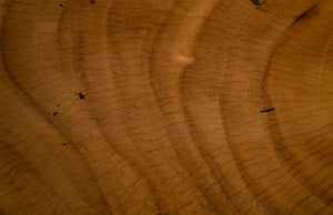 Smoothed Bar Stool, Chamcha Wood, Natural, Oval