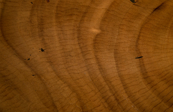 Smoothed Bar Stool, Chamcha Wood, Natural, Oval