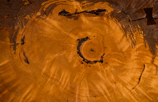 Wood Coffee Table, Forged Legs