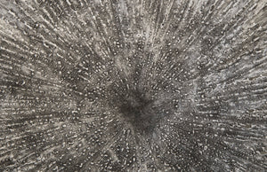 Lotus Wall Art, Silver/Black, MD