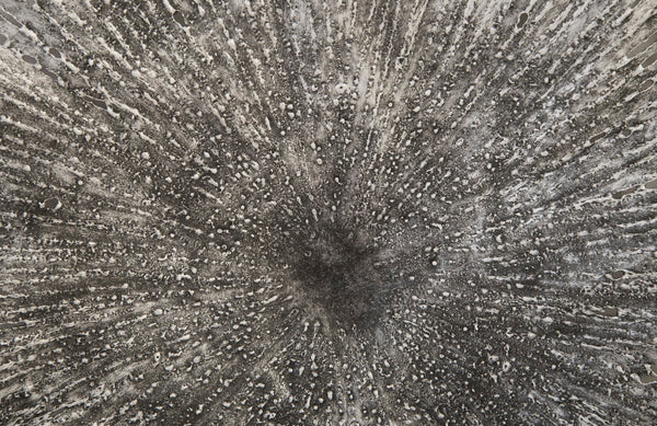 Lotus Wall Art, Silver/Black, MD