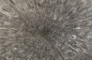 Lotus Wall Art, Silver/Black, LG