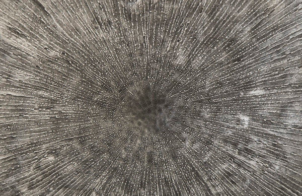 Lotus Wall Art, Silver/Black, LG