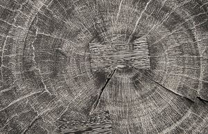 Curved Wood Stool, Thin, Gray Stone