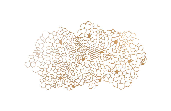 Honeycomb Wall Art, LG