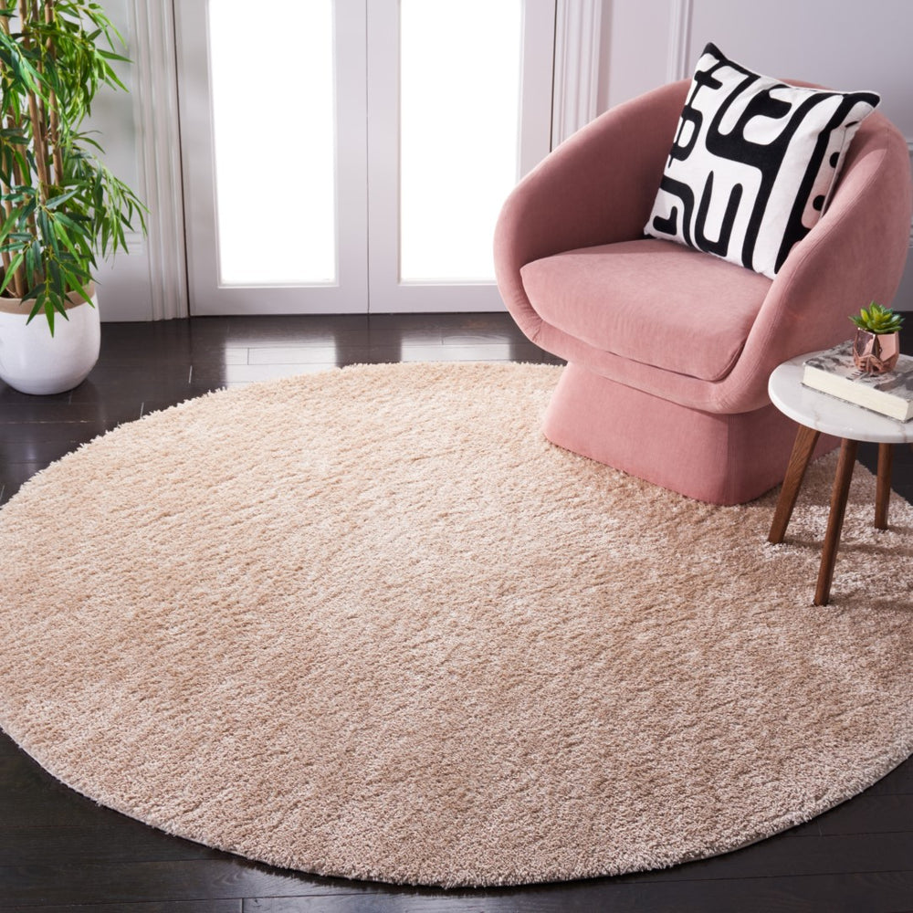 Safavieh Tahoe Shag 670 Power Loomed 60% Polypropylene/Jute 40% Contemporary Rug THO670B-6