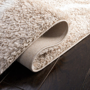 Safavieh Tahoe Shag 675 Power Loomed 60% Polypropylene/Jute 40% Contemporary Rug THO675B-5