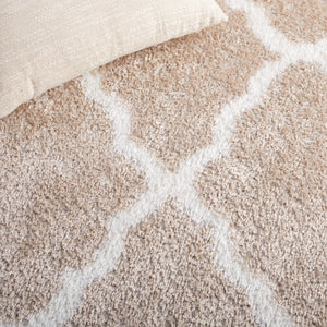 Safavieh Tahoe Shag 675 Power Loomed 60% Polypropylene/Jute 40% Contemporary Rug THO675B-5