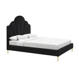 Bianca Black Velvet Bed in King