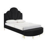 Bianca Black Velvet Bed in King