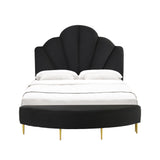 Bianca Black Velvet Bed in King