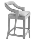 Tiffany Velvet Counter Stool Grey TOV-BS20