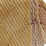TOV Furniture Saava Shell Stone Vase in Sandstone Natural 10"W x 3"D x 10"H