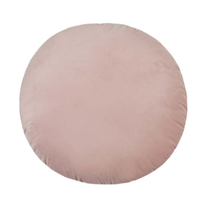 Potter 20" Blush Velvet Pillow