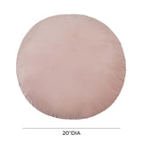 Potter 20" Blush Velvet Pillow