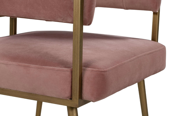 Astrid Velvet Chair Blush TOV-D44024