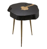 Timber and Brass Side Table Black TOV-OC18169