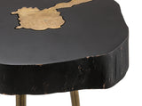 Timber and Brass Side Table Black TOV-OC18169