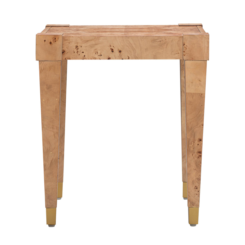 Brandyss Natural Burl End Table Natural TOV-OC54191