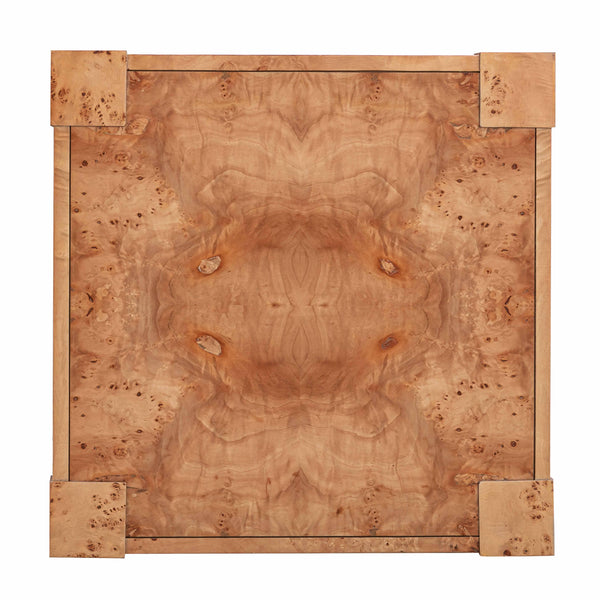 Brandyss Natural Burl End Table Natural TOV-OC54191