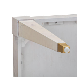 Brandyss White Burl End Table White TOV-OC54192