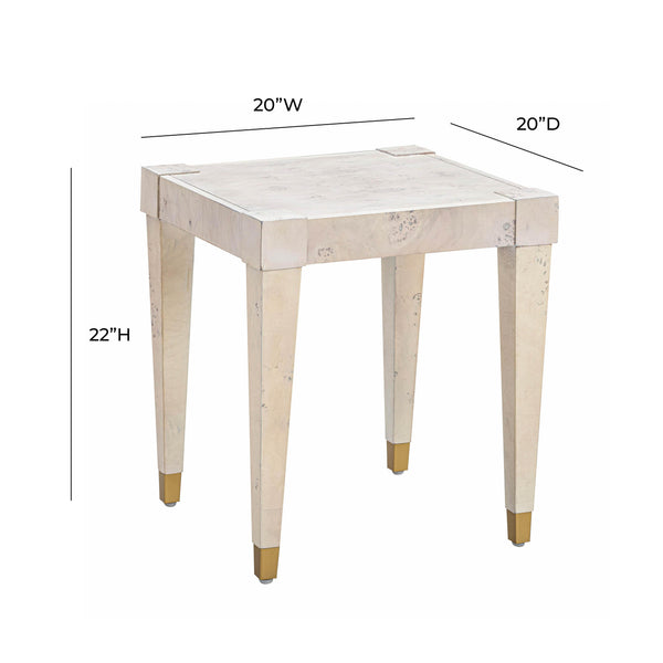 Brandyss White Burl End Table White TOV-OC54192