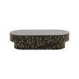 Faye Black Glass Coffee Table Black TOV-OC68586